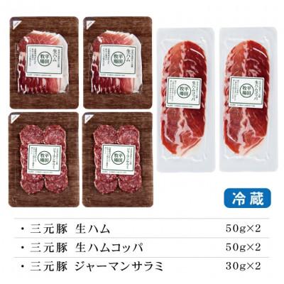 ふるさと納税 酒田市 【平田牧場】三元豚◆生ハム3種セット 　計6パック(生ハム、生ハムコッパ、サラミ 各2パック) |  | 01
