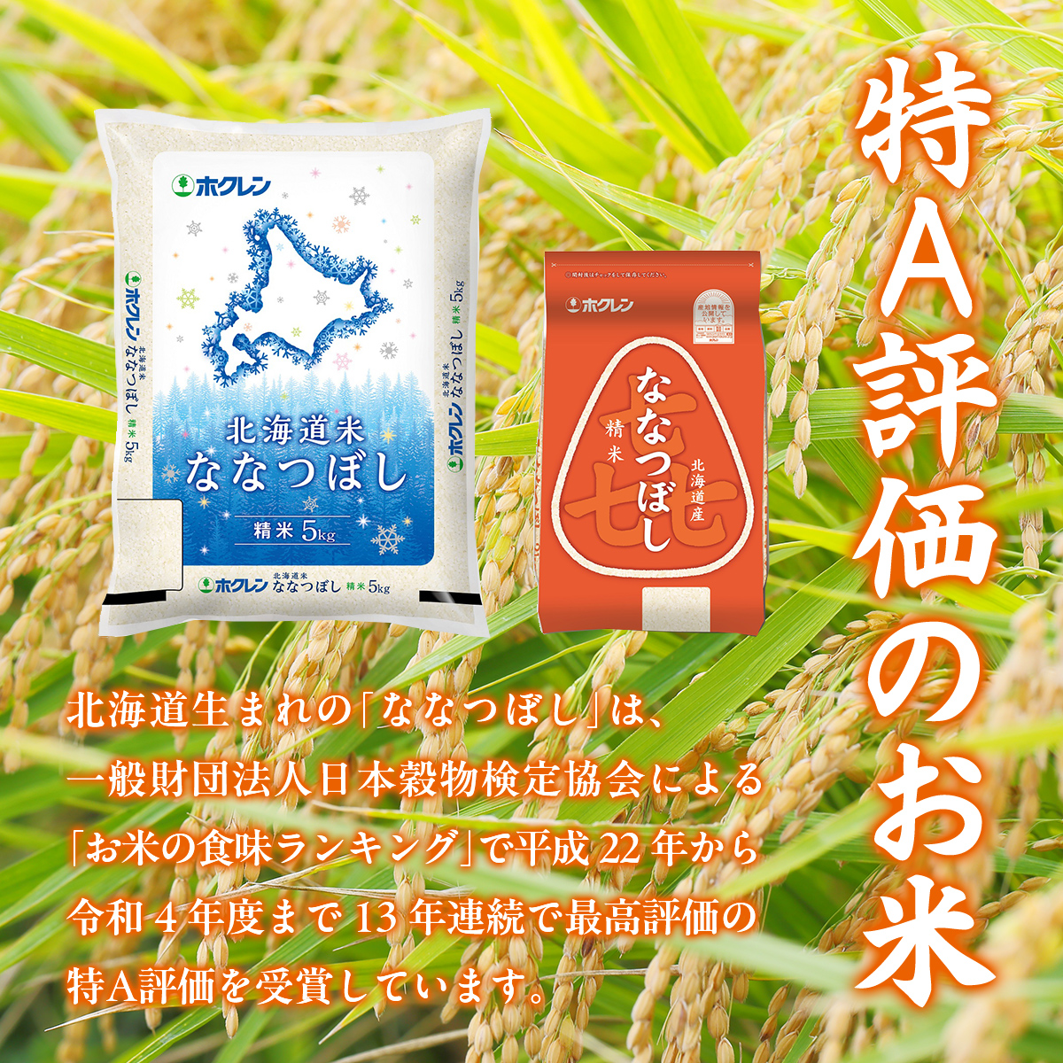 【3ヶ月定期配送】（精米6kg）ホクレン喜ななつぼし（2kg×3袋） TYUA116_イメージ4