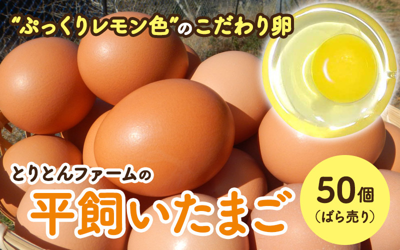 
とりとんファームの平飼いたまご50個（ばら売り） / 田辺市 卵 たまご 鶏卵 平飼い 卵かけごはん【trt008】
