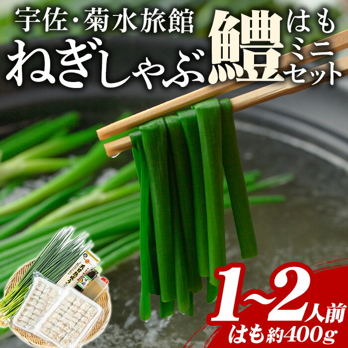 【ふるさと納税】ねぎしゃぶ（鱧はも）ミニセットねぎしゃぶ しゃぶしゃぶ 鱧 はも 鍋 お鍋 セット【101500101】【菊水旅館】