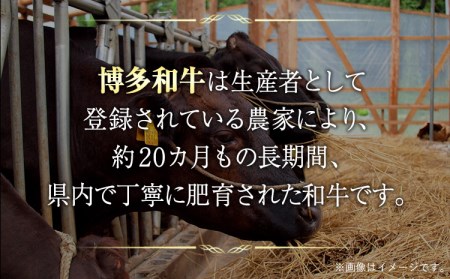 博多和牛切り落とし 1.2kg (600ｇ×2パック)《30日以内に出荷予定(土日祝除く)》 博多和牛 株式会社MEAT PLUS 牛肉 牛肩 バラ A4ランク 以上使用 厳選---kari---