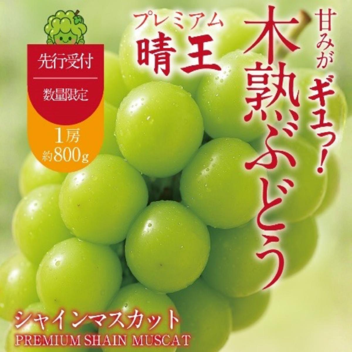 
                  【先行予約】木熟ぶどう ハレノシャイン シャインマスカット プレミアム  晴王 １房( 800g以上) | シャインマスカット 晴王 ハレノシャイン 木熟ぶどう プレミアム 800g以上 1房 岡山県産 ぶどう 葡萄 大房 高糖度 甘い 種なし 皮ごと食べられる フルーツ 果物 人気 産地直送
                