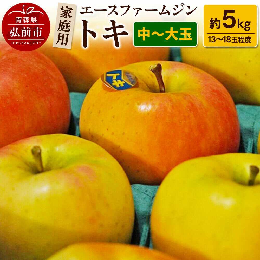 【ふるさと納税】【26年9月下旬〜発送】りんごトキ 家庭用 約5kg（中玉〜大玉13〜18玉程度）【先行受付】 青森 果物 フルーツ 林檎 リンゴ くだもの 予約 [アップル おいしい トキ りんご 黄色 果実 果物 美味 林檎]