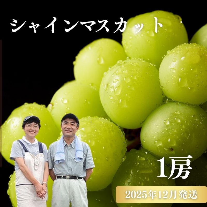 【ふるさと納税】No.2741ぶどう「シャインマスカット」1房 化粧箱入【2025年12月発送】