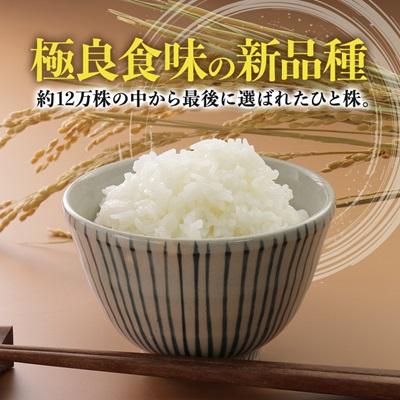 ふるさと納税 大潟村 サキホコレ精米5kg |  | 02