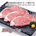 【ふるさと納税】 レビューキャンペーン 丹波牛 A5 ランク サーロインステーキ 【 国産 和牛 牛肉 丹波牛 ステーキ サーロイン 牛 赤身 京都 いづつ屋 】アウトドア