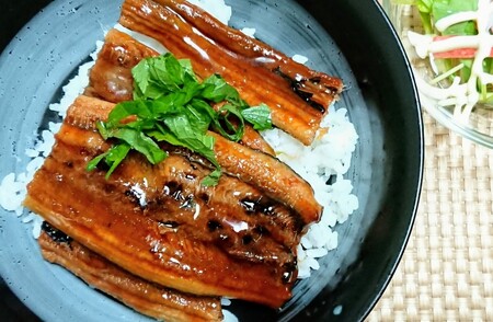 蒲焼き 穴子 あなご蒲焼 (長焼き) 8パック(120g×8) 冷凍 レンジでチン 時短 料理 8パック セット あなご 穴子 蒲焼 蒲焼き 魚 魚介類 おかず 惣菜 レンジ レンチン 丼ぶり 丼もの