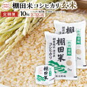 【ふるさと納税】【令和6年産米】【定期便】【お届け回数が選べる】 新潟県 岩船産 棚田米 コシヒカリ 玄米10kg ＋ 棚田米コシヒカリのパックごはん (150g×1個) 2～12回 | 毎月 お米 ご飯 こしひかり 村上市 C4083