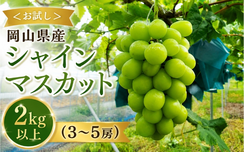 【2026年先行予約】＜お試し＞岡山県産 シャインマスカット ２kg以上 (3~5房)【fsfm009-01】