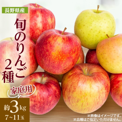 家庭用　長野県北信州のりんご　約3kg(7～11玉)おまかせ2品種【1575397】