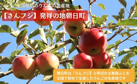 りんごの産地の やきりんご 10個入り 山形県 朝日町 スイーツ 菓子 りんご