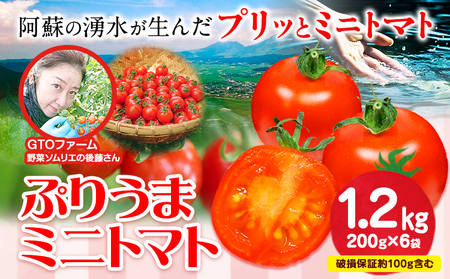 ぷりうまミニトマト 1.2kg (200g × 6袋) 破損保証約100g含む トマト ミニトマト 野菜 GTOファーム 熊本県 南阿蘇村《2026年7月上旬-10月末頃出荷》