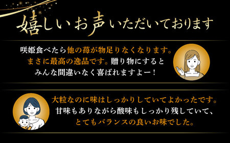 【先行予約】【際立つ甘さ！】幻のいちご『咲姫』2パック（計450g以上）/珍しい いちご 希少品種 いちご 高糖度 イチゴ 佐賀県産いちご 白石町産 イチゴ【中村いちご農園】 [ICB001]