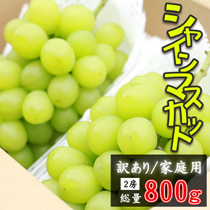 【ふるさと納税】 訳あり シャインマスカット おすすめ 2房 総量 800g 以上 家庭用 自宅用 ／ 訳アリ わけあり ワケアリ マスカット 秋 冬 果物 くだもの フルーツ デザート ぶどう ブドウ 葡萄 フレッシュ 新鮮 人気 岩手県 雫石町 農家直送 産地直送 送料無料 谷地農園