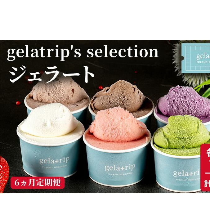 ≪6ヶ月定期便≫gelatrip's selection ジェラート12個BOX