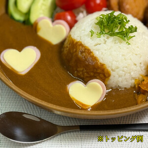 DL-001_AYUMINOｰCURRY　甘口