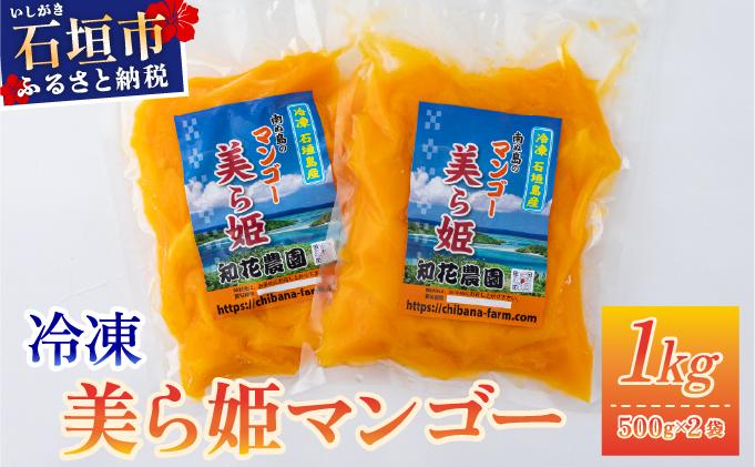 ＜期間限定 春フェア＞ 冷凍美ら姫マンゴー 1kg（500g×2袋）CB-3