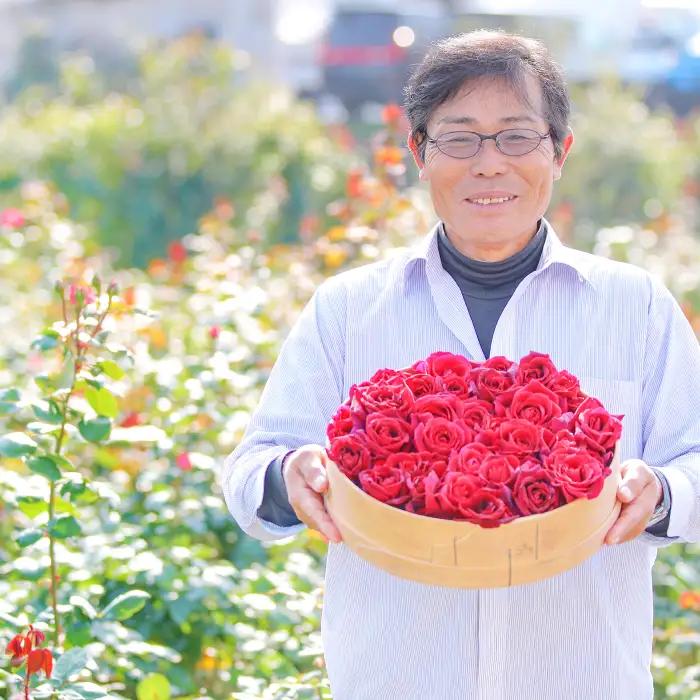 【芳醇な薫り高い奥出雲薔薇園の薔薇を使用したローズサイダーセット】（６本入り）【バラ サイダー 200ml 6本 薔薇 ローズ プレミアム スパークリング 微炭酸 美容 家庭用 贈答 ギフト 母の日】