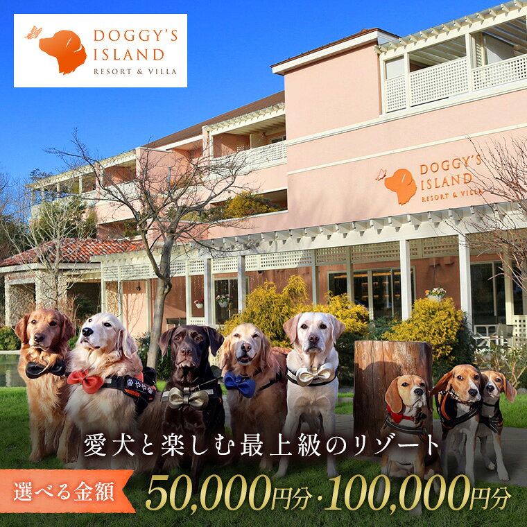 【ふるさと納税】小谷流の里 ドギーズアイランド 宿泊利用券 選べる 5万円分 10万円分 愛犬 と 泊まれる リゾート ホテル ドッグラン完備 小型犬 から 中型犬 ・ 大型犬 まで楽しめる ペットと泊まれる宿 ドッグリゾート 東京から車で最速55分 千葉県八街市