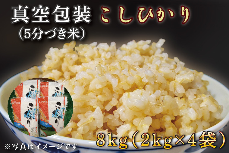
                  ★真空包装★R7年産こしひかり 8kg(2kg×4袋)【5分づき】｜米 こめ お米 コシヒカリ こしひかり 真空 真空包装 5分づき 人気 個包装 茨城県 行方市 送料無料(CZ-10-2)
                