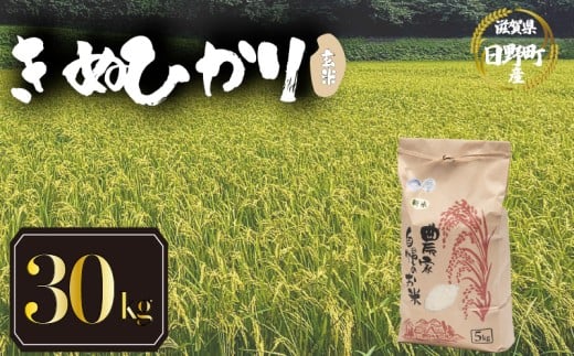 【 令和7年産 米 30kg 】 きぬひかり 米 玄米 国産 滋賀県 日野町 農家直送 お米 おこめ こめ 産地直送 ふるさと納税