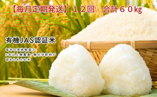 ＜新米先行予約＞【毎月定期12回】令和7年産 新米 有機栽培米 コシヒカリ 5kg 【精米】