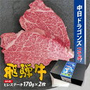 【ふるさと納税】 飛騨牛 ヒレステーキ 340g 170g×2枚 【中日ドラゴンズコラボ】 牛肉 食品 ステーキ 肉 国産 和牛 ブランド牛 パック セット 国産牛 お肉 赤身肉 ヘルシー あっさり ソース付き 冷凍 岐阜県 送料無料