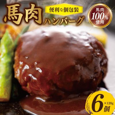 ふるさと納税 泉佐野市 馬肉ハンバーグ 120g×6個　005A659