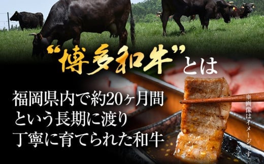 【先行予約】博多和牛焼肉用 500g 黒毛和牛 お取り寄せグルメ お取り寄せ お土産 九州 福岡土産 取り寄せ グルメ MEAT PLUS CP019er