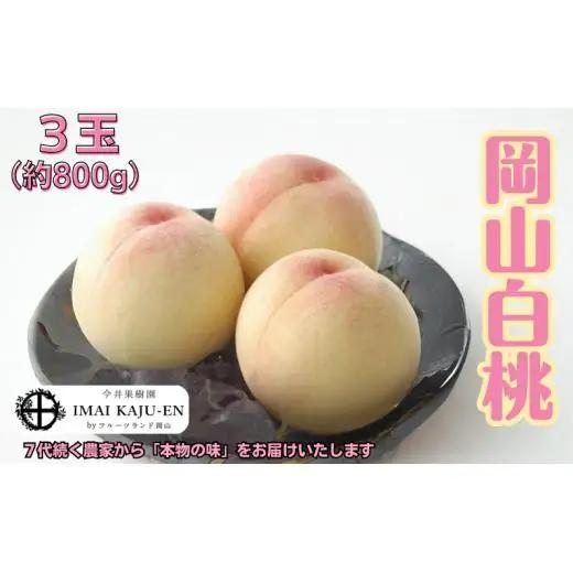 白桃 3玉 約800g 岡山県産 【先行予約 2026年7月上旬から順次発送】
