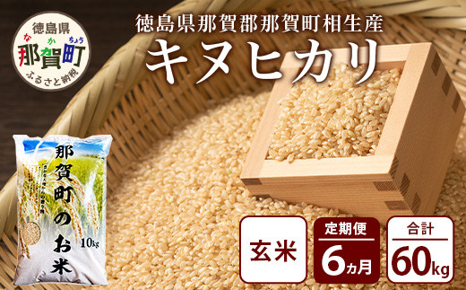 定期便6回 那賀町のお米(玄米) キヌヒカリ 定期便 お米 こめ おこめ 米 ご飯 ごはん 玄米 げんまい げん米 和食 おにぎり お弁当 頒布会 コメ 6ヵ月 6ヶ月 きぬひかり キヌヒカリ YS-31