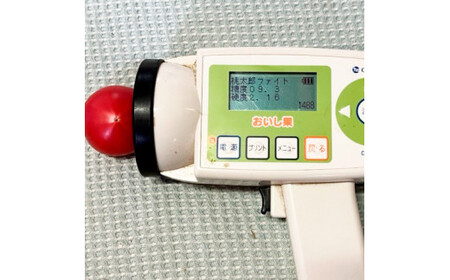 【先行予約】完熟トマト しんちゃんトマト 糖度7.0?8.9度 約750g 高知県土佐市 【横山真吾】 [BQCG002]