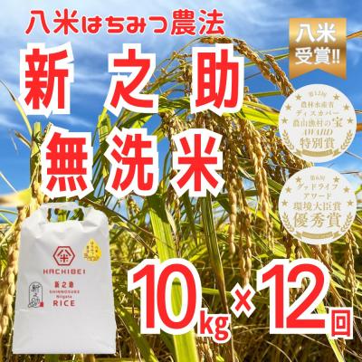 ふるさと納税 阿賀野市 【令和8年産新米受付】12ヶ月定期便 八米 はちみつ農法 新之助 無洗米 10kg×12回
