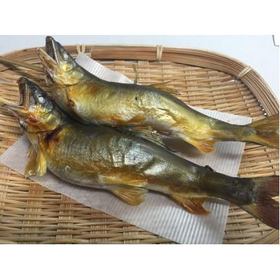 ふるさと納税 さくら市 地下水育ち 炭火焼き鮎 10尾