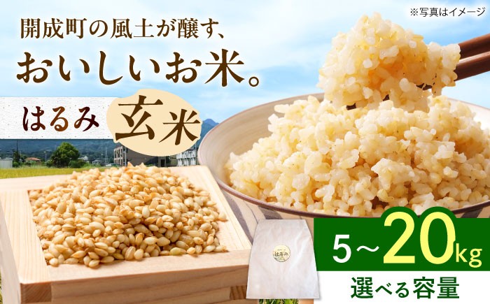 
                  【選べる容量!!】 令和7年産 玄米 はるみ 5kg 10kg 20kg 【Junkan農園】 米 お米 玄米 はるみ 令和7年産 米 コメ 玄米 ゲンマイ [BDBF003]
                