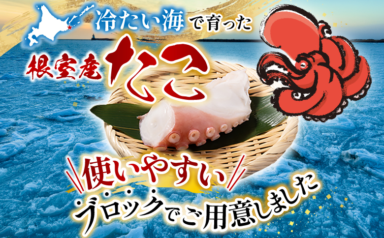 【北海道根室産】たこ足ブロック3～6P(計800g前後～1.4kg前後) A-76036