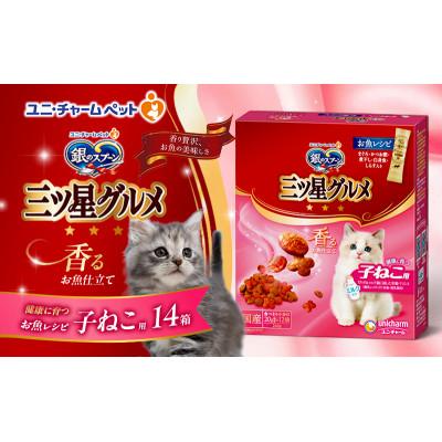 ふるさと納税 伊丹市 銀のスプーン三ツ星グルメ香るお魚仕立て健康に育つ子ねこ用お魚レシピ[54030330]
