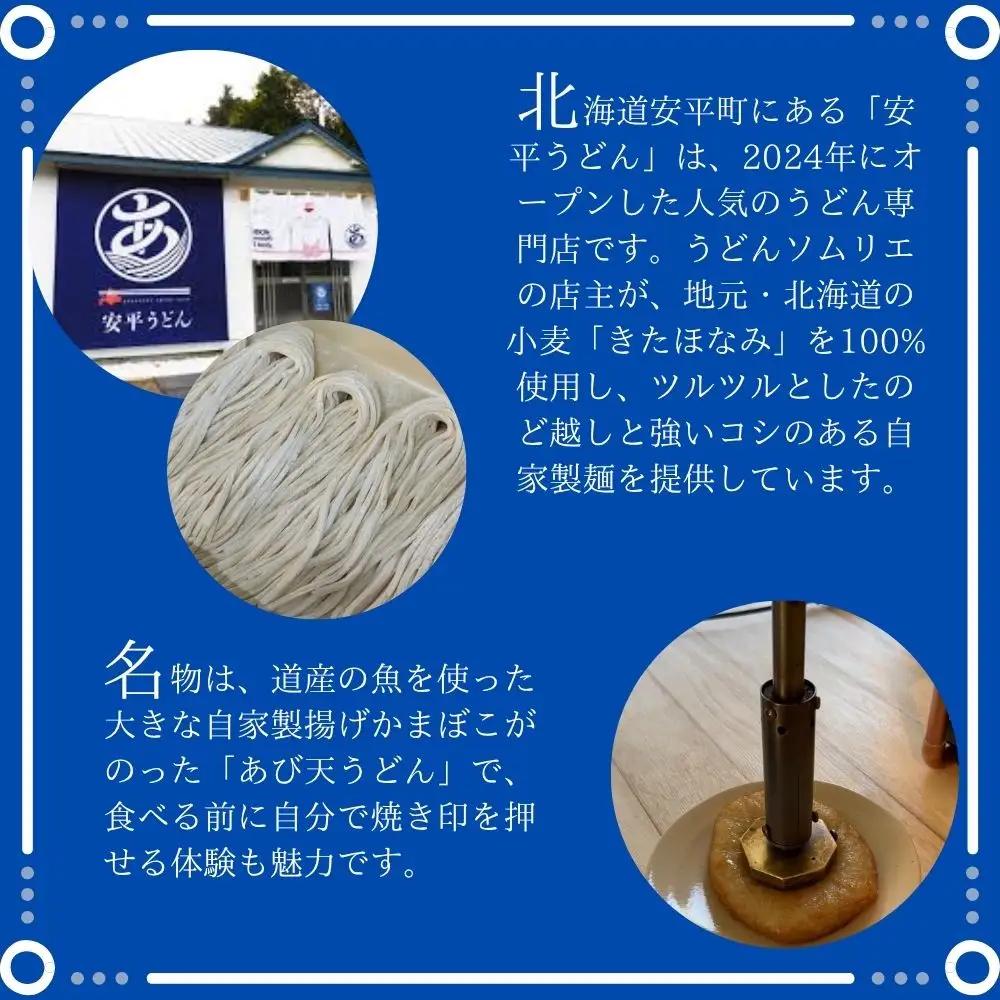 ふるさと納税】 地元の小麦粉を使って、うどんソムリエが作った冷凍＜生＞うどん 3パック （2人前×3） 北海道 安平町