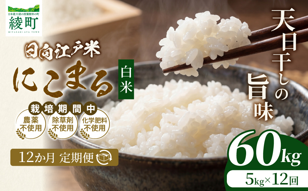 【12か月定期便】天日干しが引き出す お米の旨味 日向江戸米（にこまる）【白米】合計60kg 国産米 ブランド米 農薬不使用 化学肥料不使用 無農薬 ごはん ご飯 おにぎり お弁当 冷めても美味しい もっちり食感 和食 主食 人気 おすすめ 宮崎県 綾町 送料無料_A0038-028