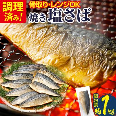ふるさと納税 古賀市 【調理済】塩さば焼きフィーレ(骨取り)