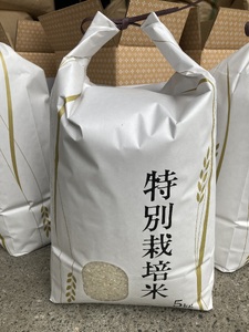 お米 令和7年産 5kg にじのきらめき 特別栽培米  先行予約  【2025年10月以降発送】 精米 米 こめ コメ 白米 ごはん ライス 愛媛 伊予市｜C148