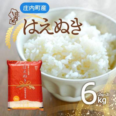 ふるさと納税 庄内町 庄内町産 はえぬき 6kg 2kg×3袋 令和7年産 2025年産 ブランド米