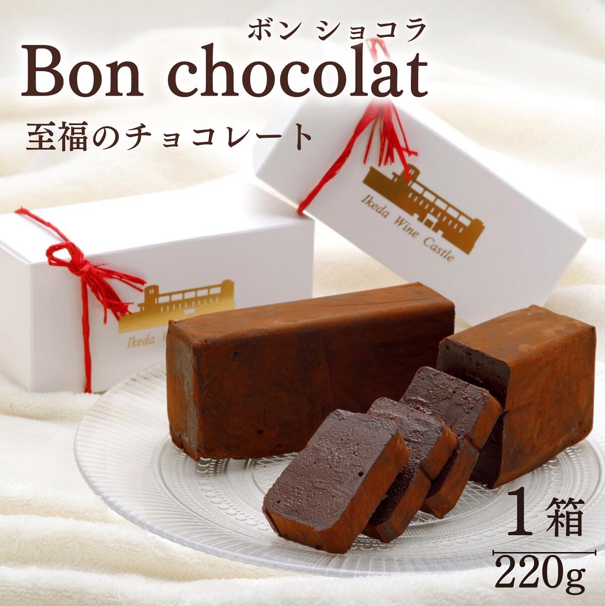 【ふるさと納税】ボンショコラ チョコレート ケーキ ハーフ 1箱 チョコ バレンタイン チョコレート Bon chocolat ふるさと納税 送料無料