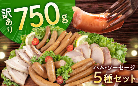 訳あり！ほまれハム・ソーセージ詰め合わせ 計750g（約150g×5パック） / ハム / 佐賀県 / 有限会社田嶋畜産 [41ATBP005]