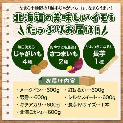 ふるさと納税 芽室町 【2026年12月中旬より順次発送】北海道十勝芽室町　なまら十勝野のいもづくし 7種 計4kg |  | 01