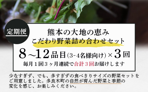 【定期便3回】熊本の大地の恵み 旬の こだわり野菜詰め合わせセット 8〜12品 （3〜4名様向け）3回配送 獲れたて 新鮮 野菜 セット 詰め合わせ 詰合せ 定期便 産地 直送 国産 季節 旬野菜 家