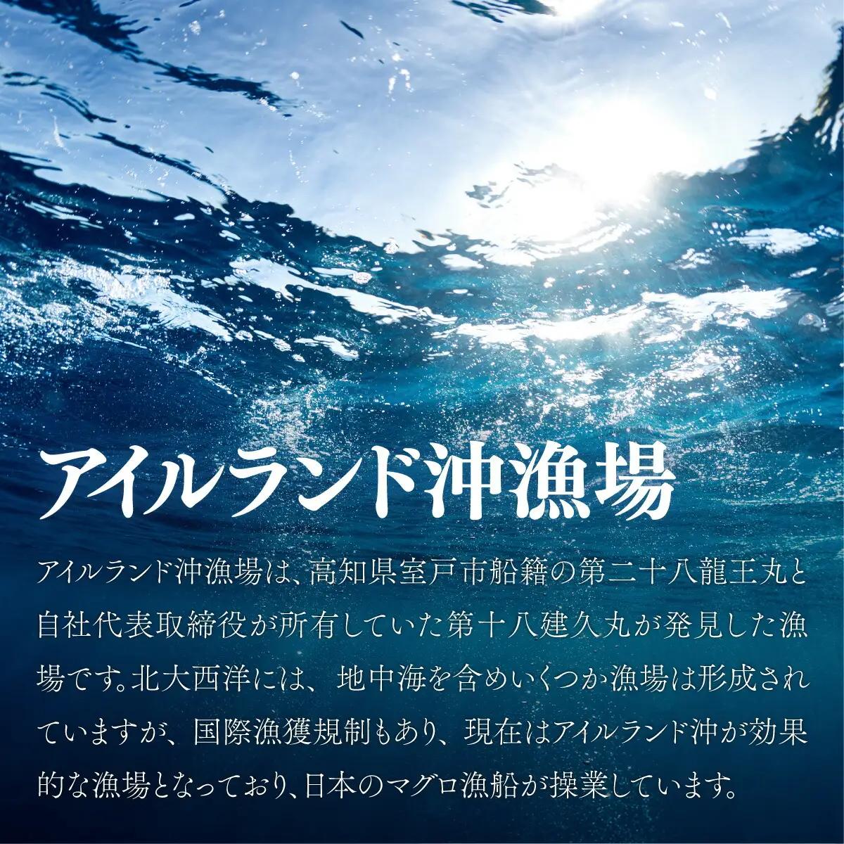 【定期便/計3回】本マグロ 中トロ2柵（400g）【まぐろ】eb022