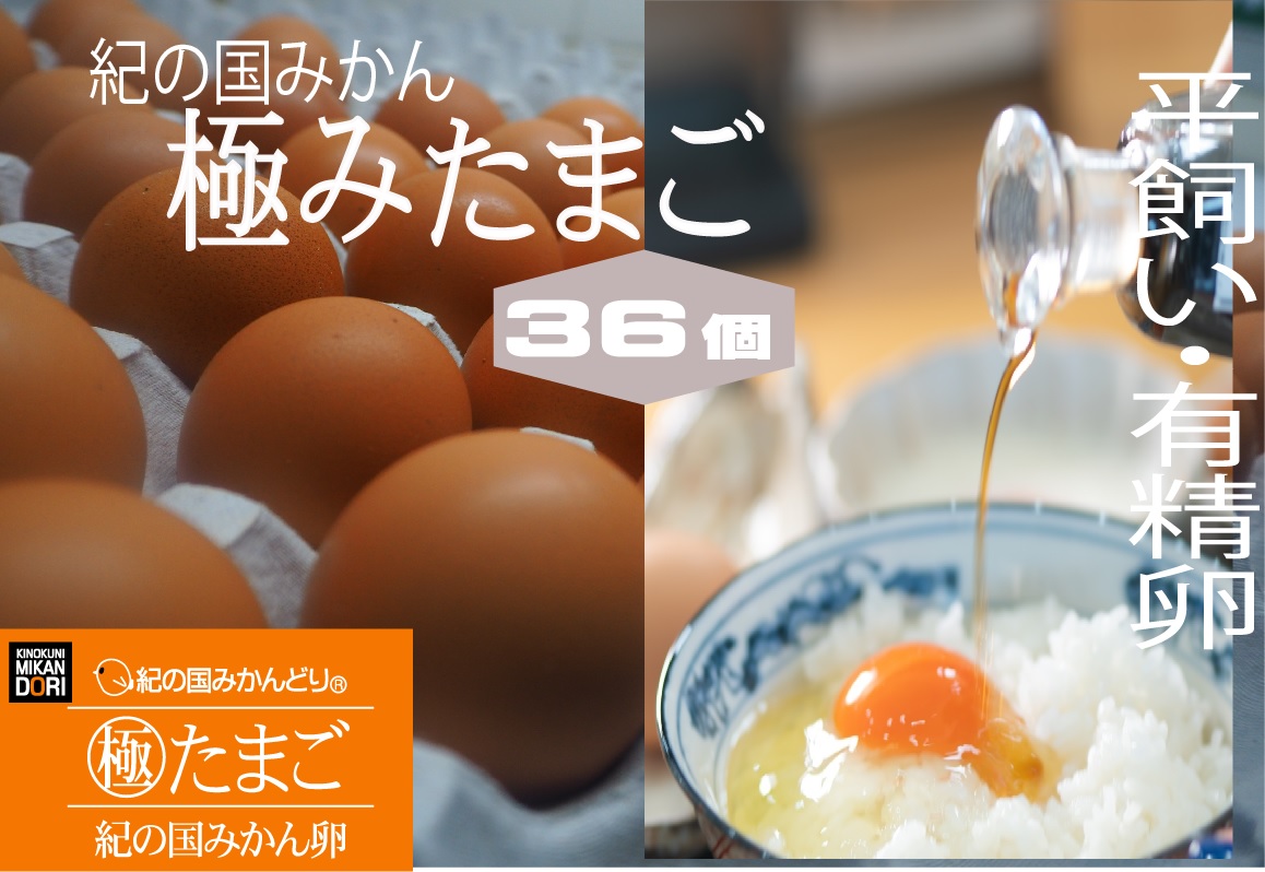 紀の国みかん 極みたまご 36個_DO6008n
