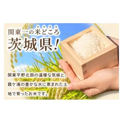 【2027年8月発送】米 にじのきらめき 精米 5kg 令和8年産 茨城県産 お米 こめ コメ ごはん 白米 ニジノキラメキ 茨城県産米 単一米 単一原料米 安心 安全 送料無料 国産 人気 数量限定