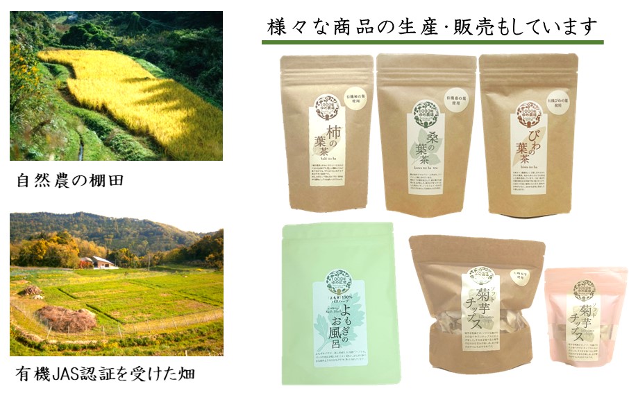 1000年ゆめ農場 びわの葉茶